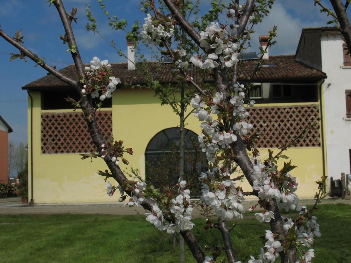 B&B Corte Cornalino Roverbella Exteriör bild